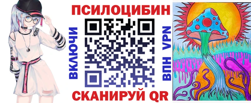 Галлюциногенные грибы Psilocybine cubensis  Билибино 